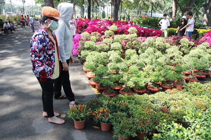 Kiểng nông sản đắt khách ở chợ hoa Tết Sài Gòn ảnh 3